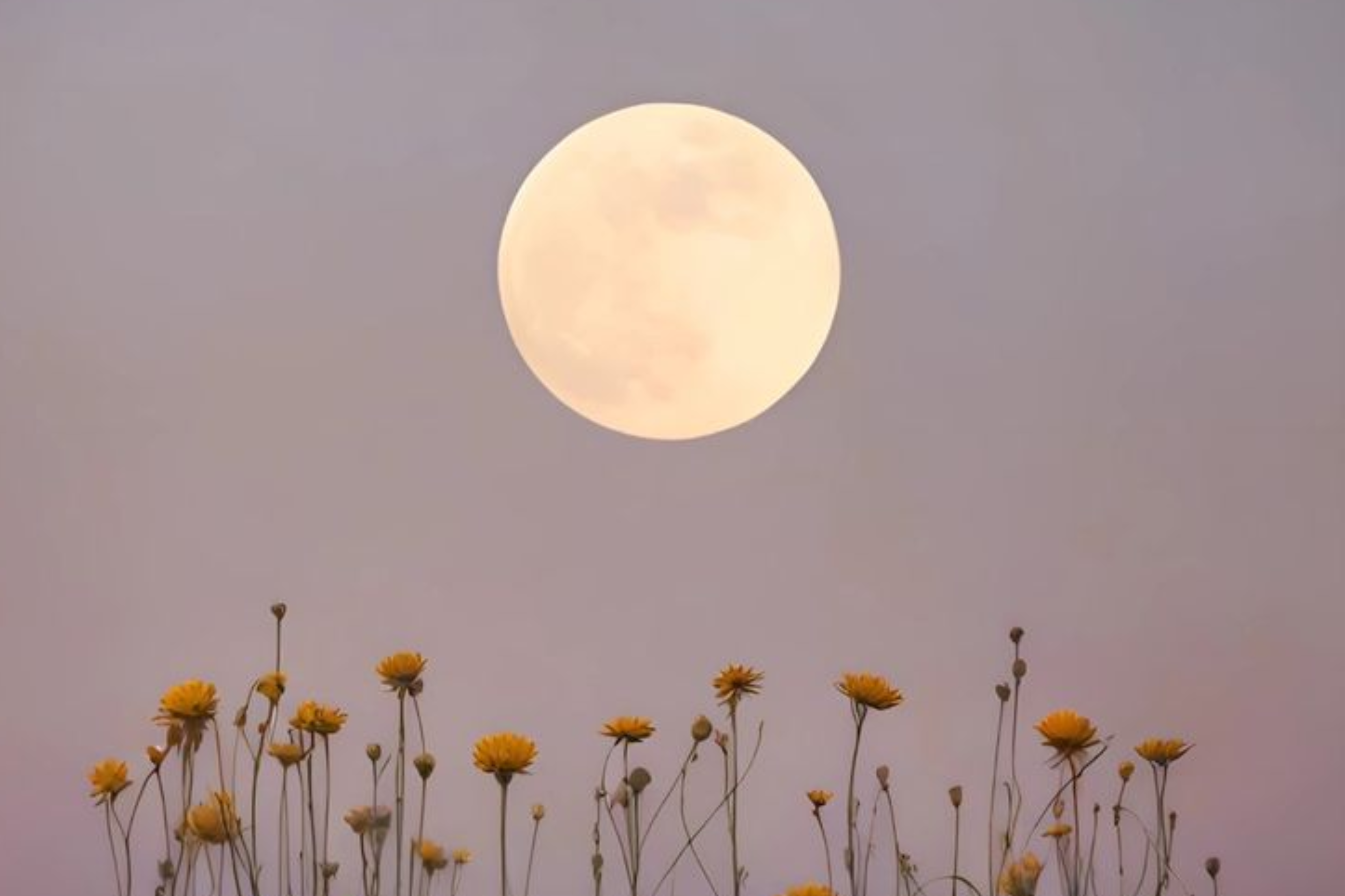 How Our Sleep Needs Change Throughout Our Cycle